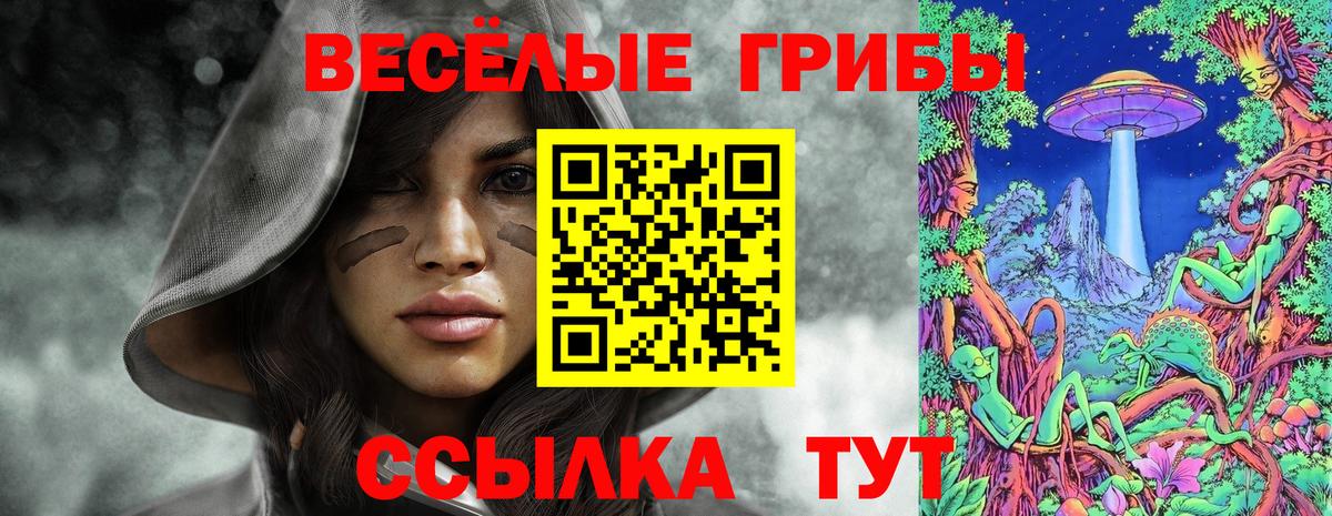 Мценск  Галлюциногенные грибы мицелий  Вход с VPN 